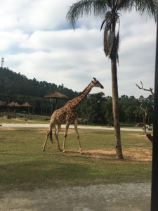 12F2AEBF-724E-40ED-8620-6DCEE008EA2A